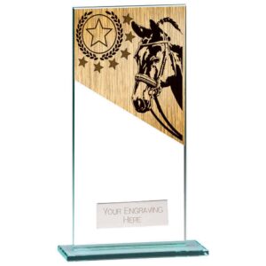 Mustang Equestrian Jade Glass Award - Engrave Express