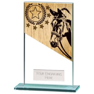 Mustang Equestrian Jade Glass Award - Engrave Express