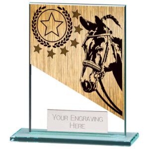 Mustang Equestrian Jade Glass Award - Engrave Express