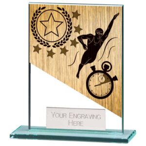 Mustang Swimming Jade Glass Award - Engrave Express