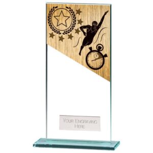 Mustang Swimming Jade Glass Award - Engrave Express