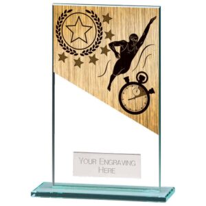 Mustang Swimming Jade Glass Award - Engrave Express