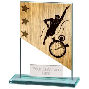 Mustang Swimming Jade Glass Award - Engrave Express