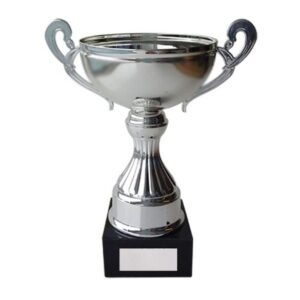 Ovation Silver Cup 240mm - Cornish Custom Creations