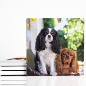 Personalised Square Ceramic Coasters - Cornish Custom Creations