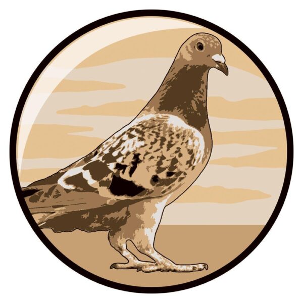 Pigeon Centre Gold 25mm - Cornish Custom Creations