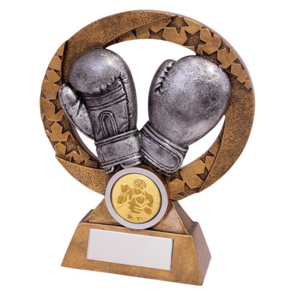 Revolution Boxing Award - Cornish Custom Creations