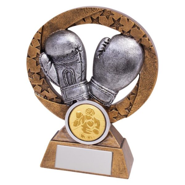 Revolution Boxing Award - Cornish Custom Creations