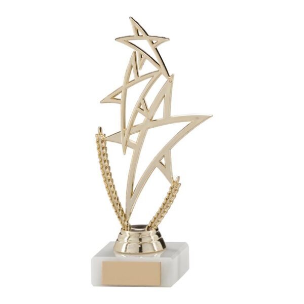 Rising Star Multi-Sport Gold Trophy - Cornish Custom Creations