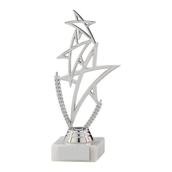 Rising Star Multi-Sport Trophy Silver - Cornish Custom Creations