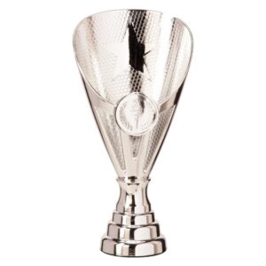 Rising Stars Premium Plastic Cup Silver - Cornish Custom Creations