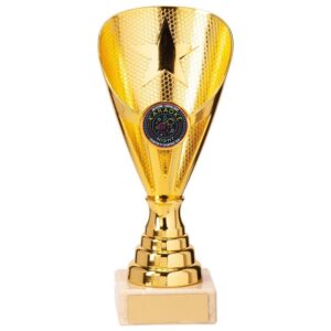 Rising Stars Premium Plastic Trophy Gold - Cornish Custom Creations