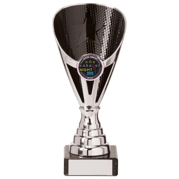 Rising Stars Premium Plastic Trophy Silver & Black - Cornish Custom Creations