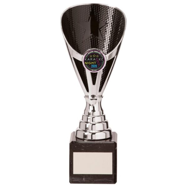 Rising Stars Premium Plastic Trophy Silver & Black - Cornish Custom Creations