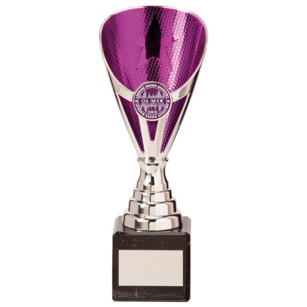 Rising Stars Premium Plastic Trophy Silver & Purple - Cornish Custom Creations