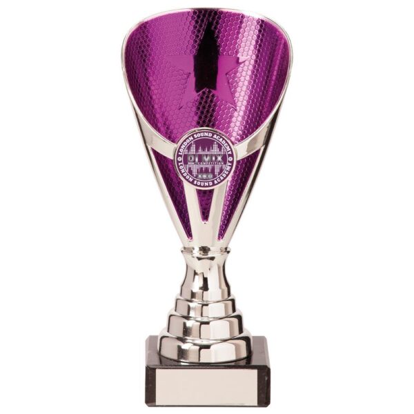 Rising Stars Premium Plastic Trophy Silver & Purple - Cornish Custom Creations