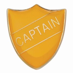 Scholar Pin Badge Captain Yellow - Cornish Custom Creations