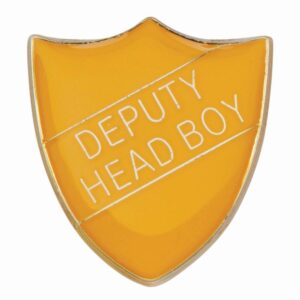 Scholar Pin Badge Deputy Head Boy Yellow - Cornish Custom Creations