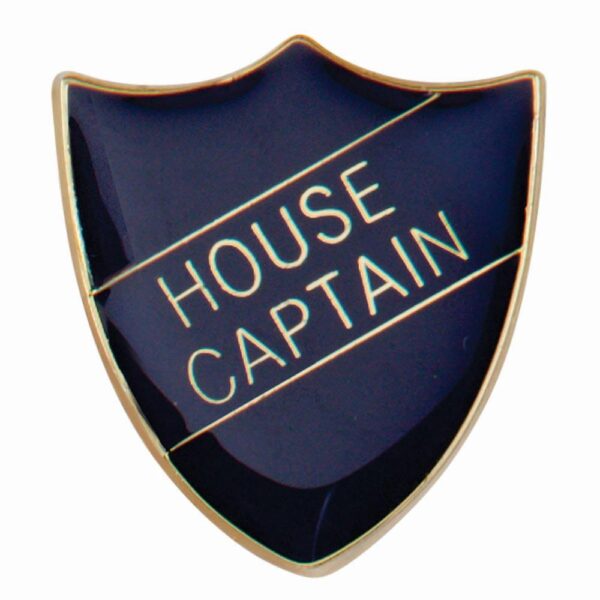 Scholar Pin Badge House Captain Blue - Cornish Custom Creations