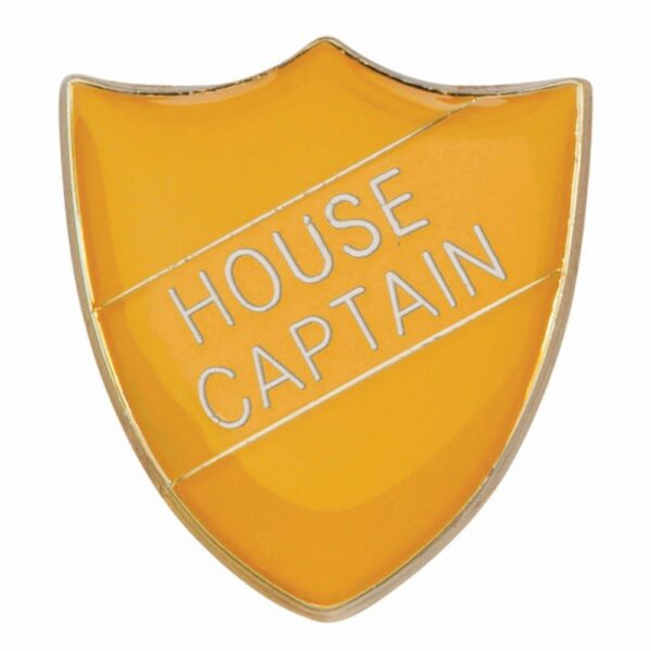 Scholar Pin Badge House Captain Yellow - Cornish Custom Creations