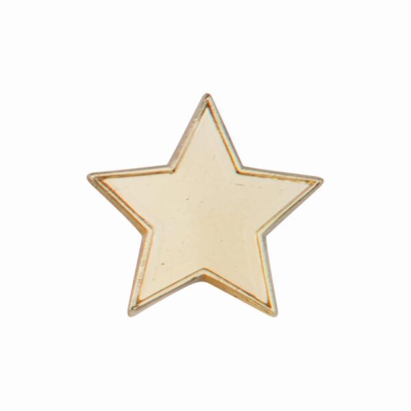 Scholar Pin Badge Star Gold - Cornish Custom Creations