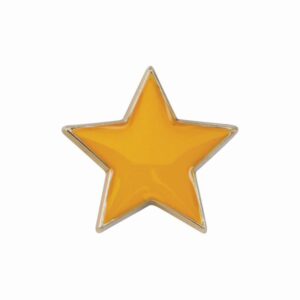 Scholar Pin Badge Star Yellow - Cornish Custom Creations