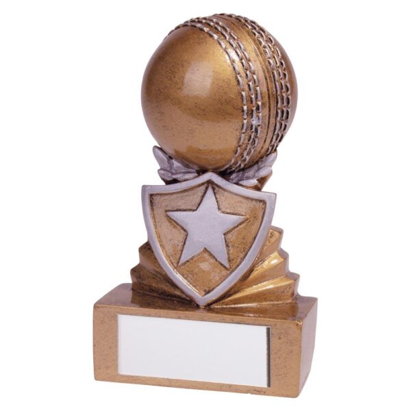 Shield Cricket Mini Award - Cornish Custom Creations