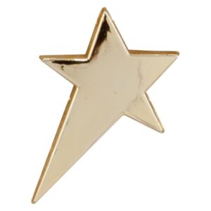 Shooting Star Plastic Trim Gold - Engrave Express