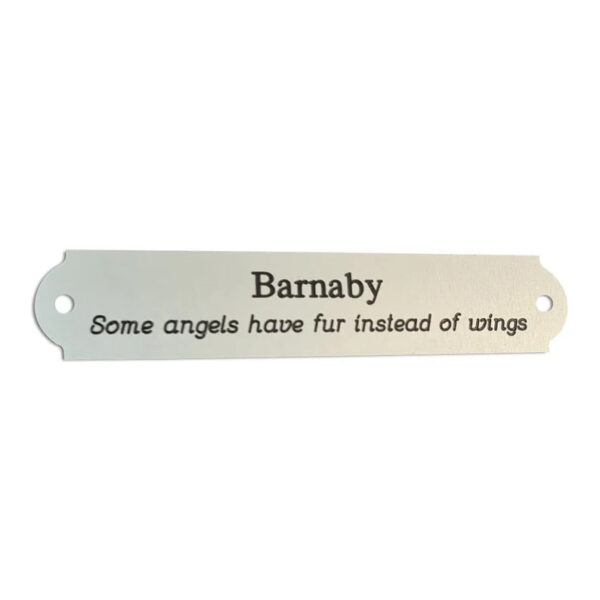 Small size curved end 100mm x 20mm satin silver aluminium engraved nameplate - Cornish Custom Creations