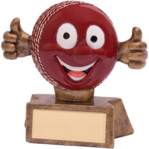 Smiler Cricket Award - Cornish Custom Creations