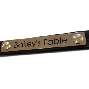 Solid brass horse headcollar nameplate, 100mm x 15mm - Cornish Custom Creations