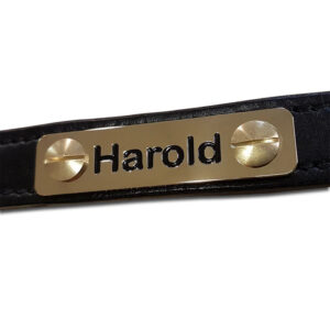 Solid brass horse headcollar nameplate, 60mm x 15mm - Cornish Custom Creations