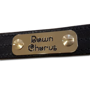 Solid brass horse headcollar nameplate, 60mm x 20mm - Cornish Custom Creations