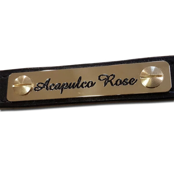 Solid brass horse headcollar nameplate, 80mm x 15mm - Cornish Custom Creations