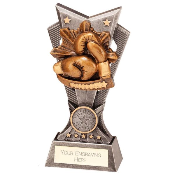 Spectre Boxing Award - Cornish Custom Creations