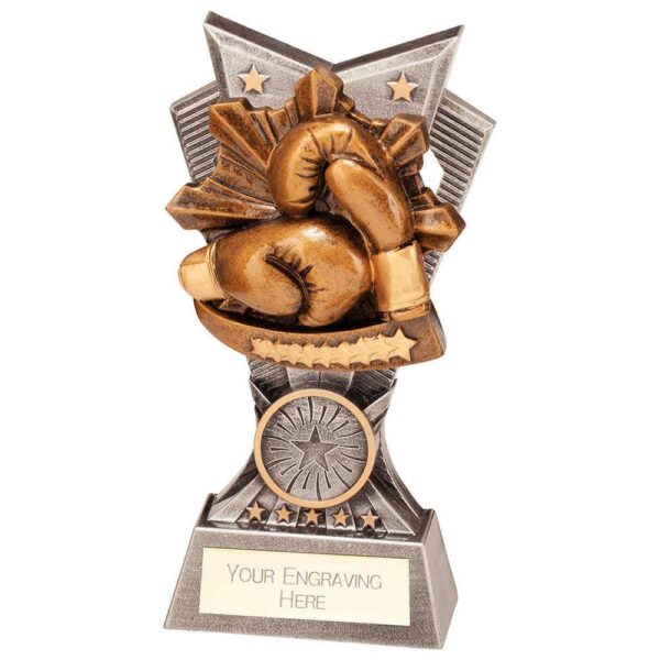 Spectre Boxing Award - Cornish Custom Creations