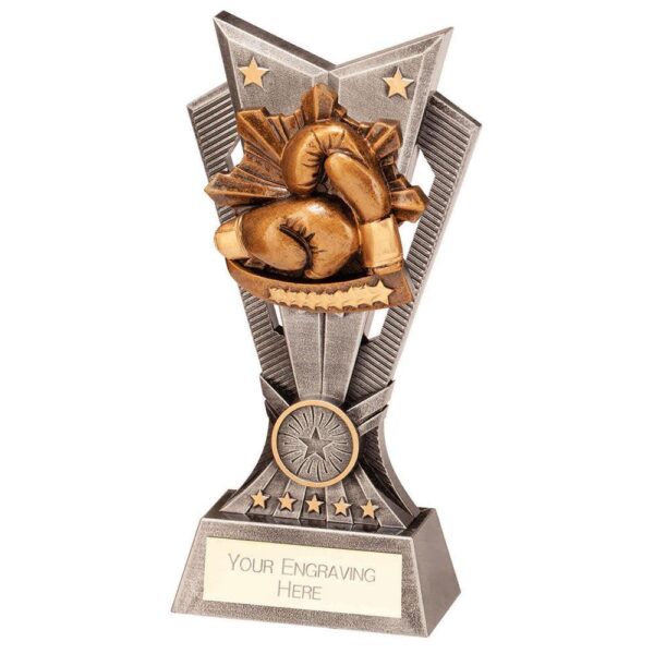 Spectre Boxing Award - Cornish Custom Creations