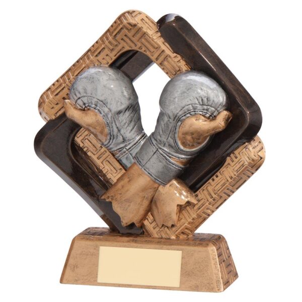 Sporting Unity MMA Fighter Award - Engrave Express