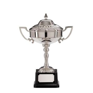 Sterling Nickel Plated Cup - Cornish Custom Creations