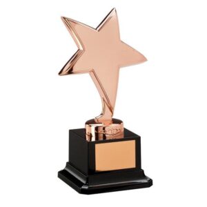 The Challenger Star Bronze Award - Engrave Express