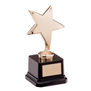 The Challenger Star Gold Award - Engrave Express