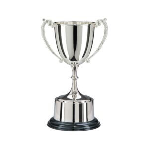 The Highgrove Nickel Plated Cup - Cornish Custom Creations