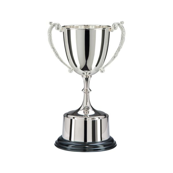 The Highgrove Nickel Plated Cup - Cornish Custom Creations