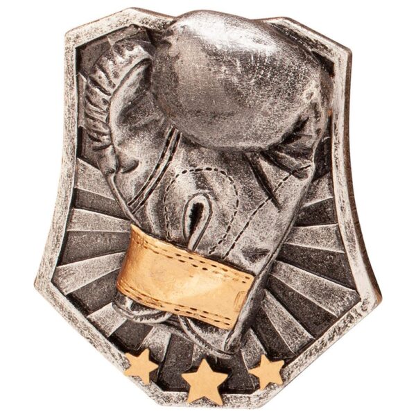 Titan Boxing Resin Insert - Engrave Express