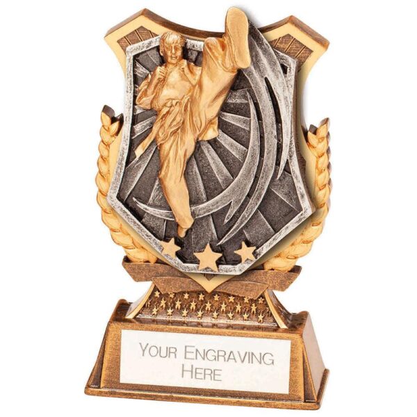 Titan Karate Award 125mm - Engrave Express