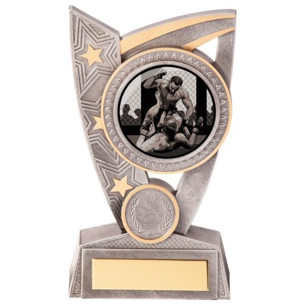 Triumph MMA Award 150mm - Engrave Express