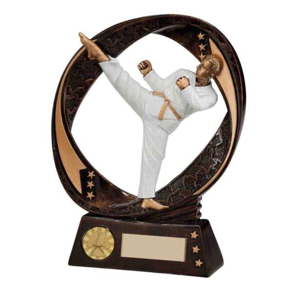 Typhoon Martial Arts Award - Engrave Express