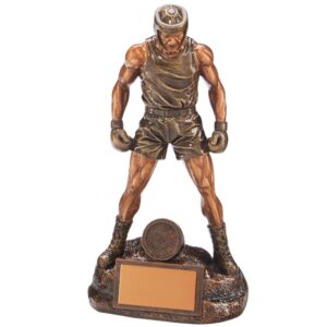 Ultimate Boxing Award - Cornish Custom Creations