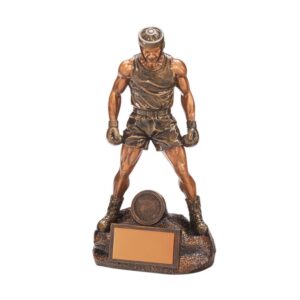 Ultimate Boxing Award - Cornish Custom Creations