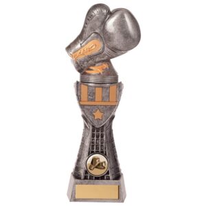 Valiant Boxing Award - Cornish Custom Creations